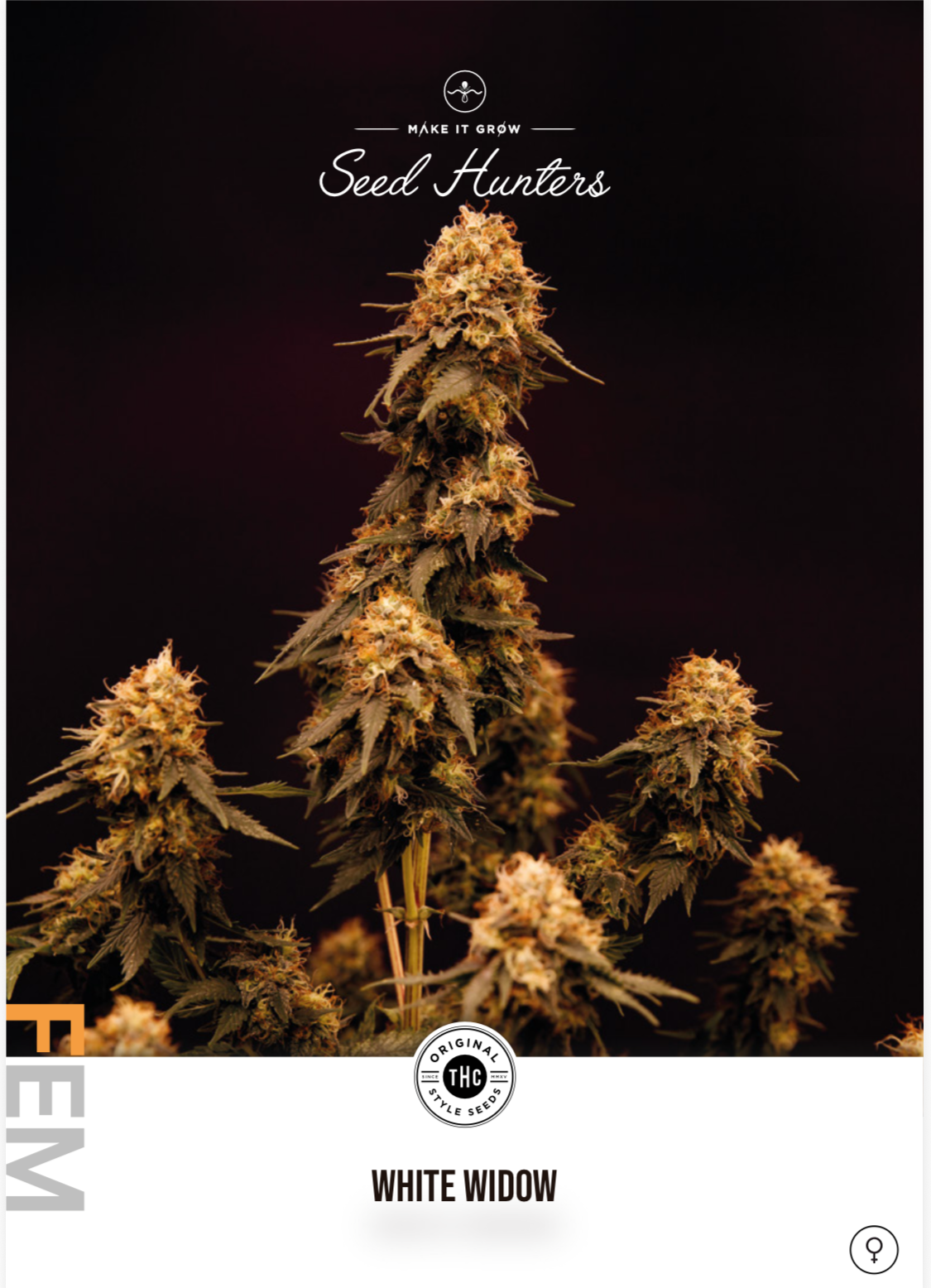 WHITE WIDOW