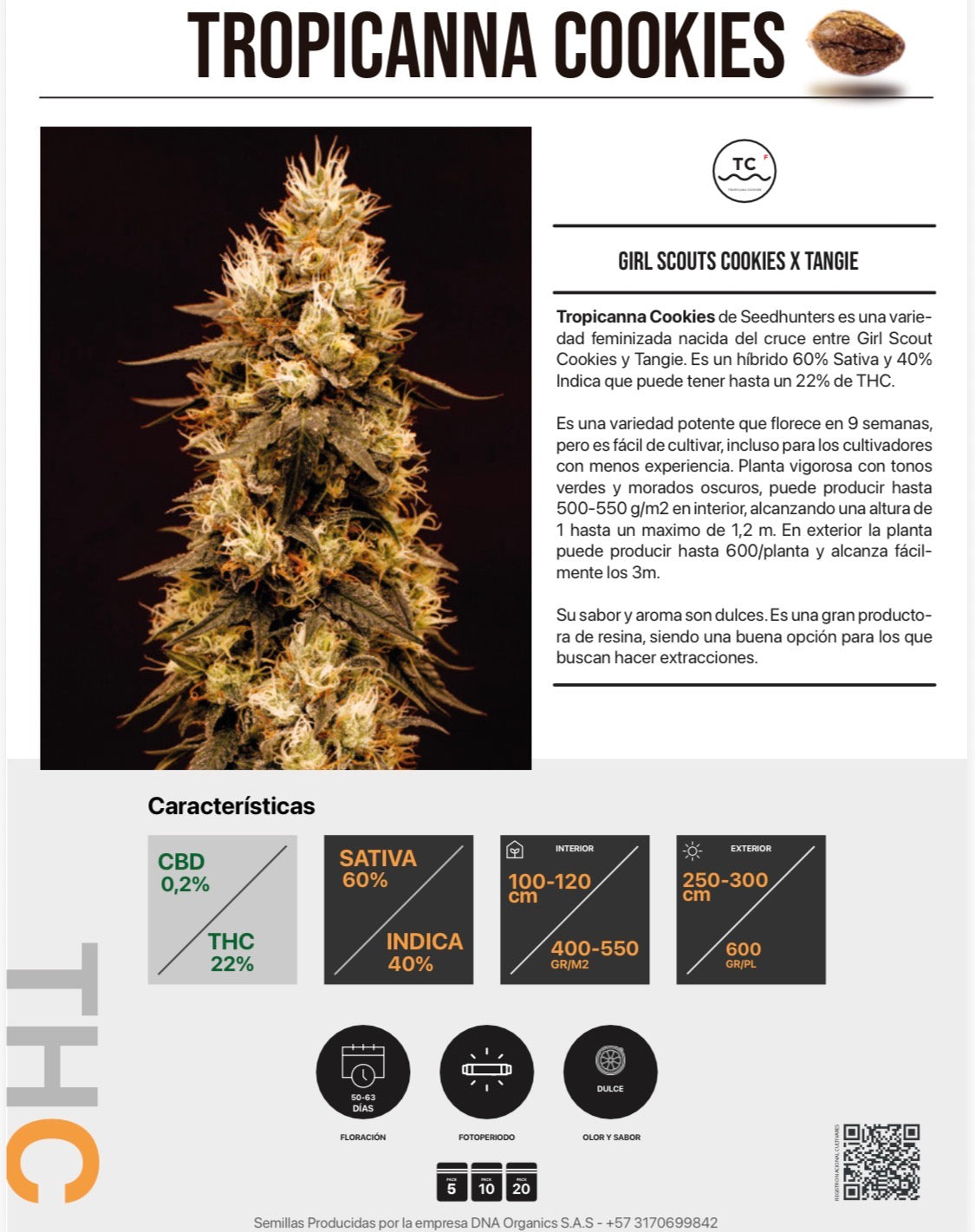 TROPICANA COOKIES